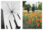 Gucken_48–49