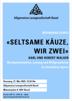 Flyer Flyer
